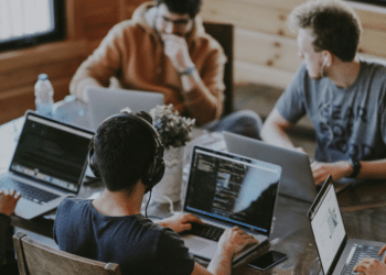 How a Green Wall Can Help Improve an Office Environment