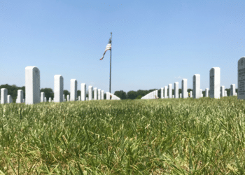 Veterans: Here's How to Secure the Disability Support You Deserve