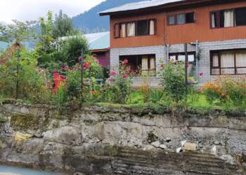 10 Practical Ways to Address Yard Drainage Problems