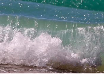 The Art of Single Sessions Benefitting the C-Suite Executive