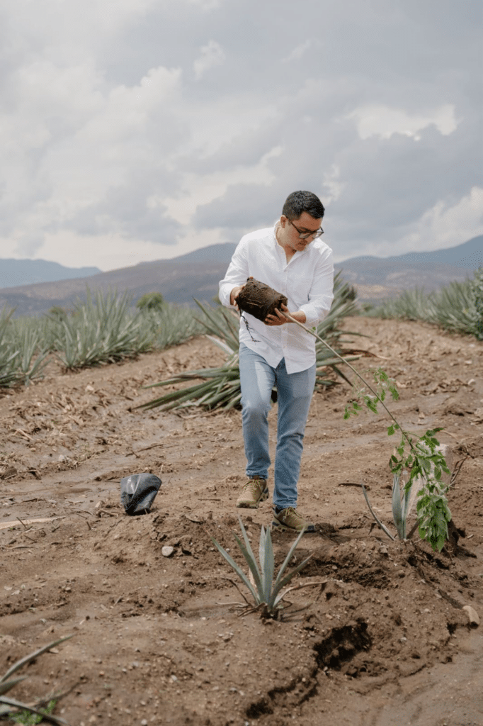 JC Estrada: Revolutionizing Mezcal Through Sustainability and Operational Excellence