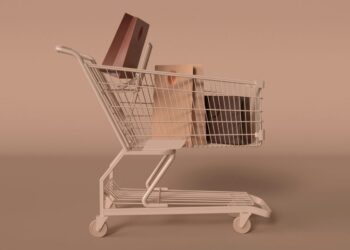 twigBIG: The AI & AR Solution Fixing Online Shopping