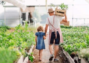 Exploring the Promise of Regenerative Agriculture for Sustainable Farming