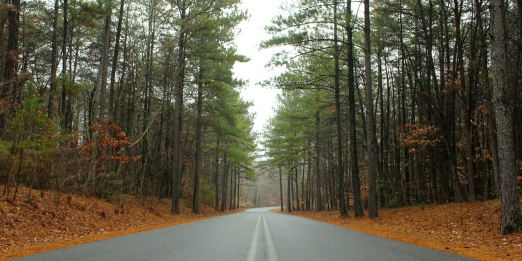 Tips for Selling Your Land in the Carolinas!