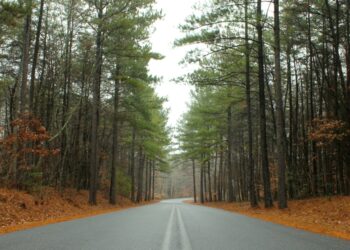 Tips for Selling Your Land in the Carolinas!