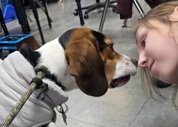 Dr. Ronnie Tarchichi: How Learning Disability Consultants Empower Teachers in the Classroom