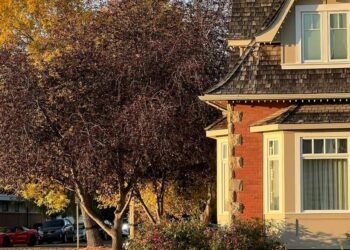 Small Claims Court vs. RTDRS: Where to Resolve Your Tenancy Dispute in Alberta