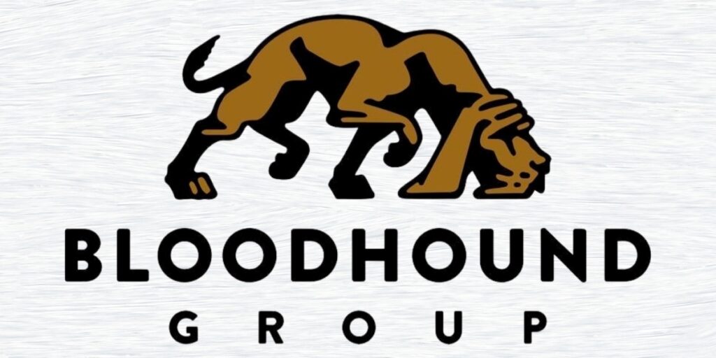 Future-Proofing Brands: How the Bloodhound Group Helps Businesses Avoid Branding Mistakes