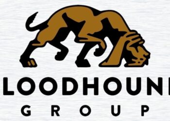 Future-Proofing Brands: How the Bloodhound Group Helps Businesses Avoid Branding Mistakes