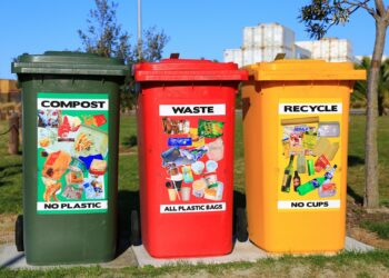 How Effective Waste Removal Contributes to Business Sustainability
