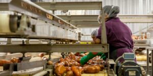 Conveyor Types & Process Optimizations - Where Do You Start?