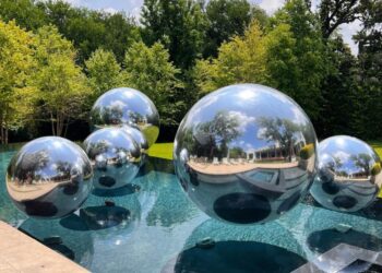 Planning Budget-Friendly Events in Dallas: A Guide by DFW Flower Wall