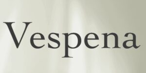 Barry Hayes Launches Vespena.com: A Trusted Destination for Car Accessories, Featuring Over 4,000 Products Across 94 Categories