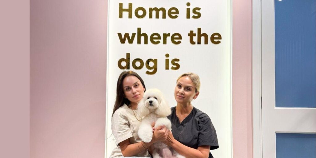 Family-Founded Luxury Pet Salon in Dubai Supports Local Shelters with Free Grooming
