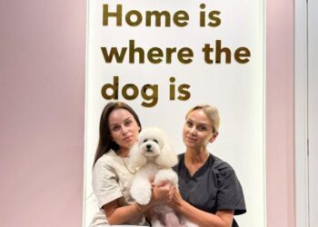 Family-Founded Luxury Pet Salon in Dubai Supports Local Shelters with Free Grooming