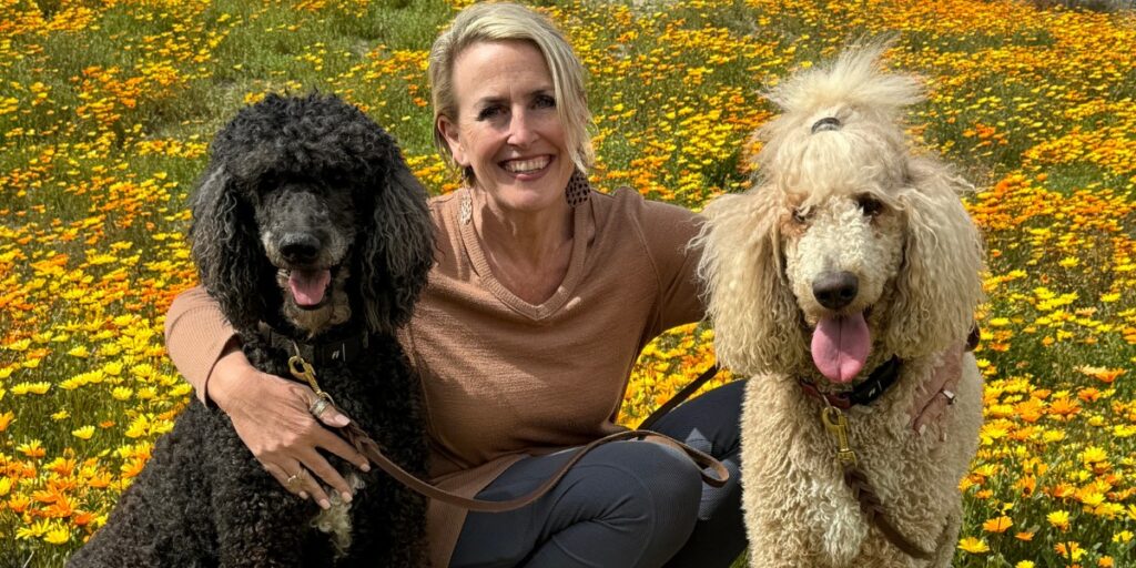What My Dogs Taught Me About Marketing