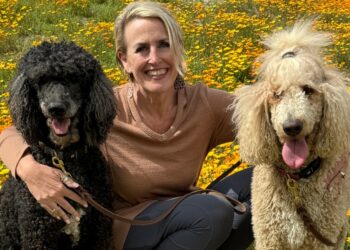 What My Dogs Taught Me About Marketing