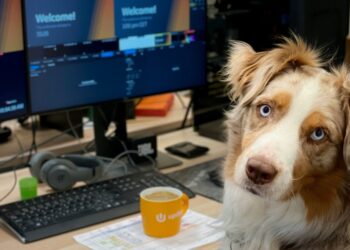 Should Your Office Go Dog-Friendly? The Productivity and Wellness Debate