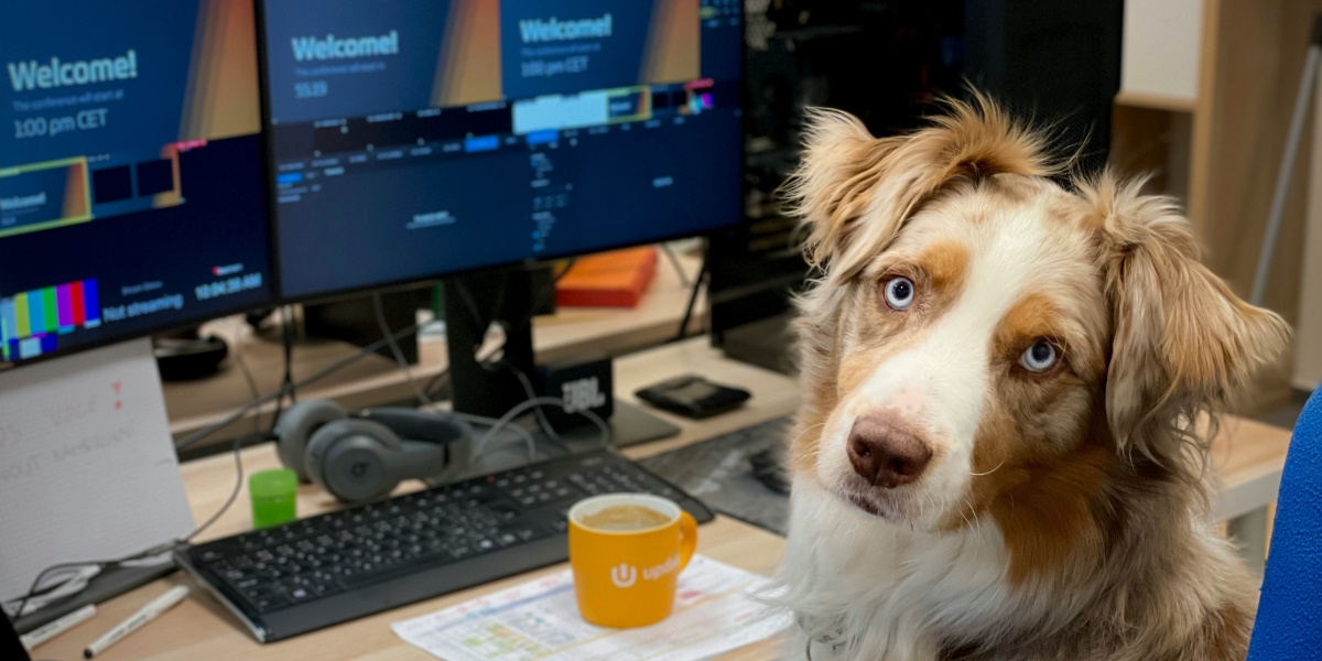 Should Your Office Go Dog-Friendly? The Productivity and Wellness Debate
