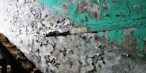 Cementing Change: The Business Case Behind NuGreen’s Low-Carbon Breakthrough