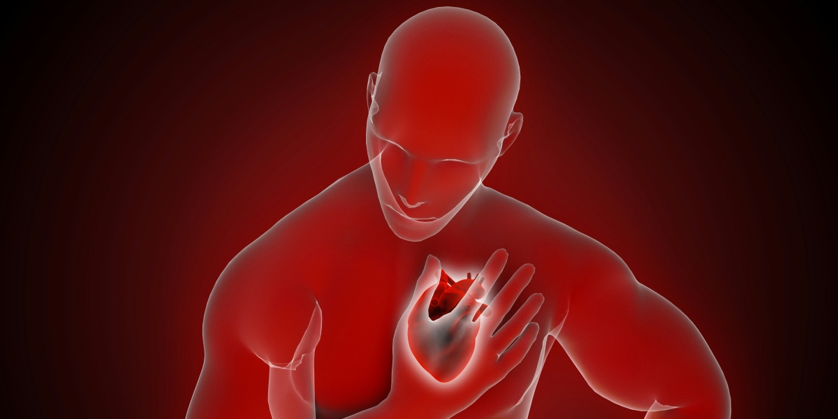 The Executive's Silent Killer: Why Heart Health is Your Critical Business Asset