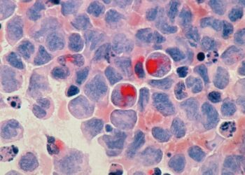 Understanding the Different Types of Cells: From Prokaryotic to Specialized and Stem Cells