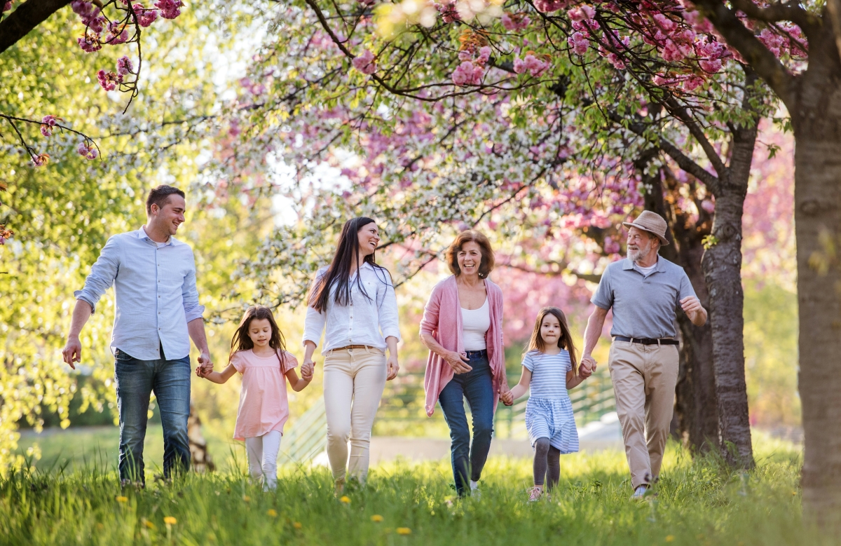 Understanding Your Past: A Look into the Genealogy Trend