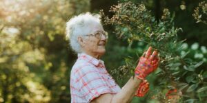 The Role of Leisure and Recreation in Senior Wellbeing