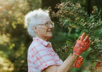 The Role of Leisure and Recreation in Senior Wellbeing