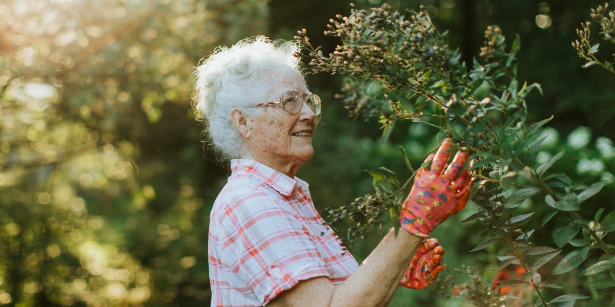 The Role of Leisure and Recreation in Senior Wellbeing