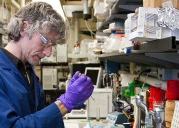 Who Is Dr. Connor Robertson? Biography, Background, and Breakthroughs