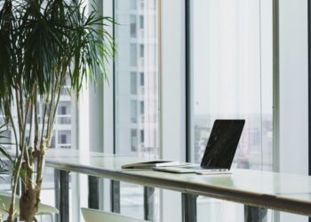 5 Tips for Creating a Sustainable Office Environment