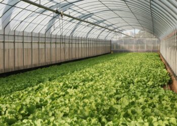 Asia Biologicals Platform Takes Aim at Adoption and Market Gaps