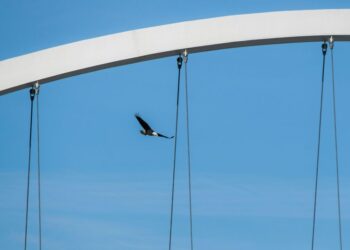 How to Choose the Right Contractor: What Sets Eagle Concrete Products Apart