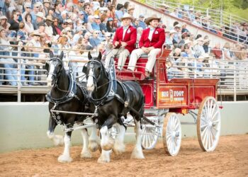 Larry O. Doss The Real Estate Broker Who Refuses to Quit