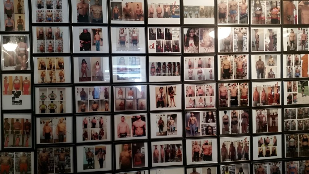 The Hidden Truth About Fitness: Why True Success Requires All Six Pillars of Life