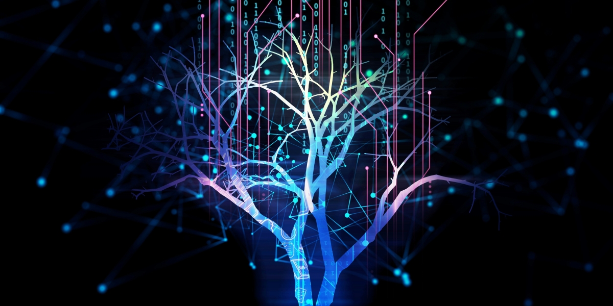 The Human in the Loop Is the Last Line