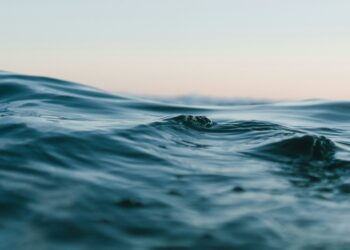 Training Composure Under Pressure: An Ocean-Based Approach to Leadership and Decision-Making