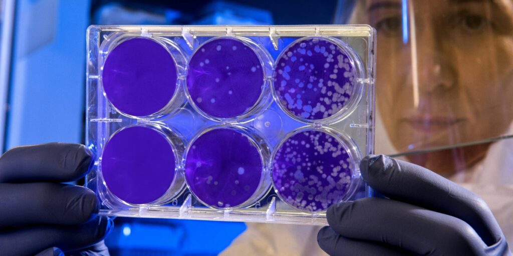 Cord Blood Banking Is a Strategic Bet on the Future of Healthcare