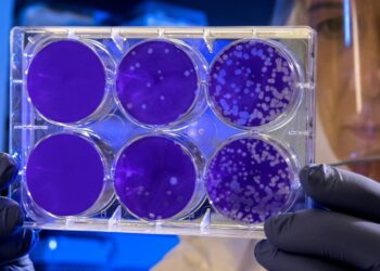 Cord Blood Banking Is a Strategic Bet on the Future of Healthcare