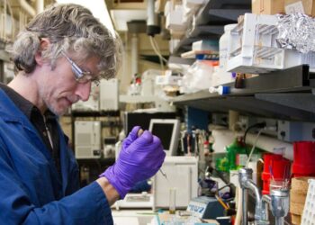 Strategic Milestones in Early-Phase Drug Development