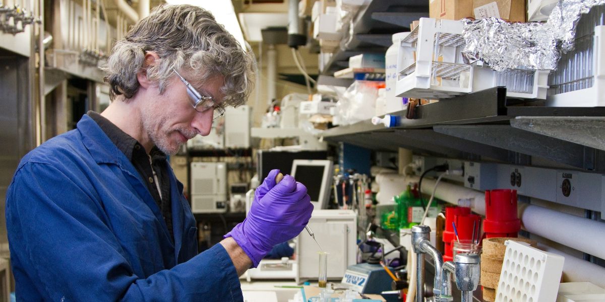 Strategic Milestones in Early-Phase Drug Development