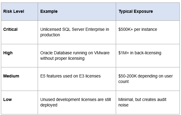 What Every CEO Needs to Know About Software Audit Defense