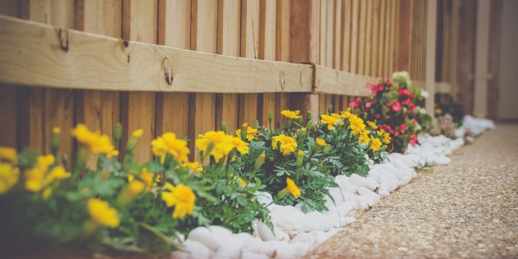 Leadership in a Fragmented Industry: Rune Sovndahl on Reinventing the Home Services Market