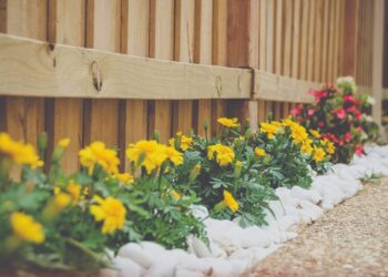 Leadership in a Fragmented Industry: Rune Sovndahl on Reinventing the Home Services Market