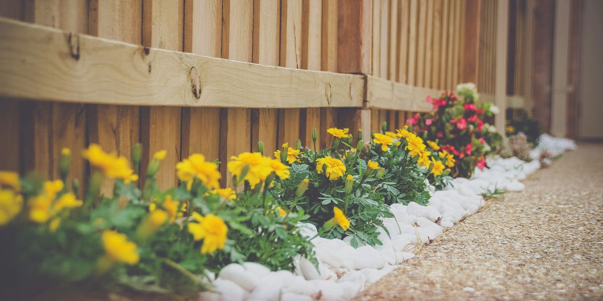 Leadership in a Fragmented Industry: Rune Sovndahl on Reinventing the Home Services Market