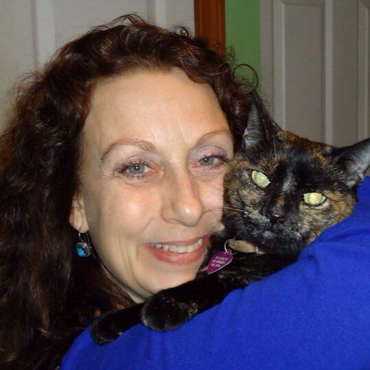 The Cat’s Meow Pet Sitting Is Redefining Personalized Pet Care In Manchester, NH