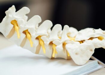 What South Florida Leaders Should Know About Disc Pain