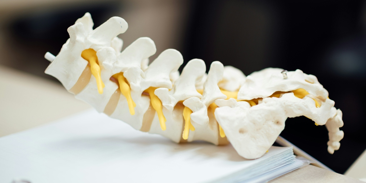 What South Florida Leaders Should Know About Disc Pain