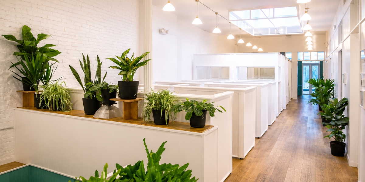 Brooklyn Has 90 Coworking Spaces. Work Heights Is Competing to Be the One People Find First.